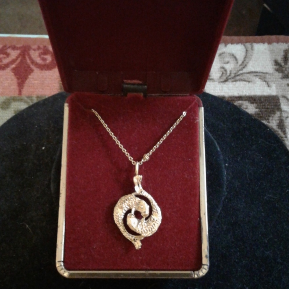 Ladies Horoscope necklace(NWOT)